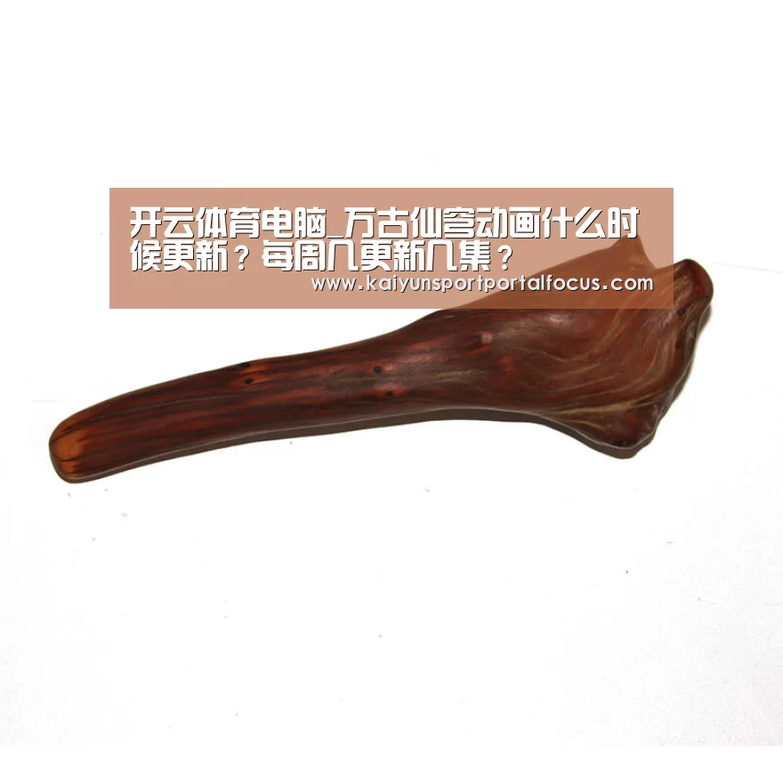 开云体育电脑