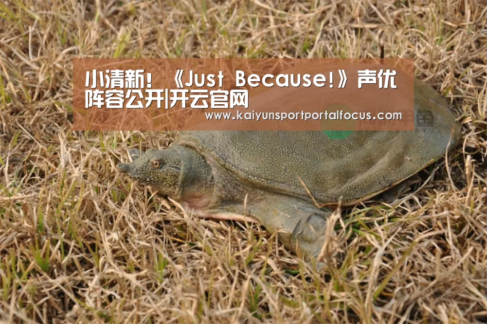 开云官网